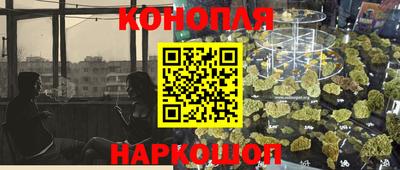 прущие грибы Бийск