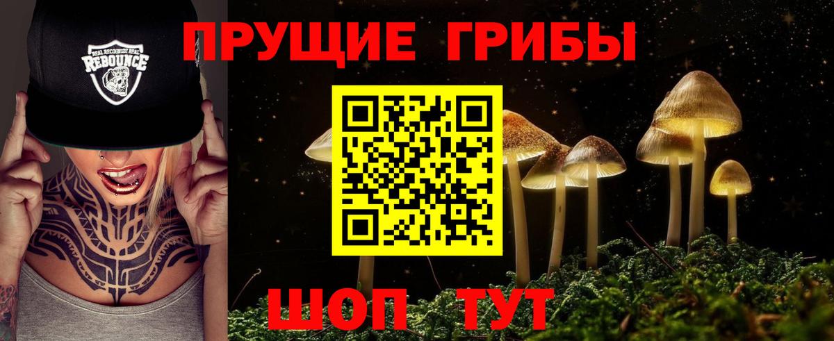 Воркута  что такое наркотик  Псилоцибиновые грибы Psilocybe  Вход с VPN  Псилоцибиновые грибы Magic Shrooms 